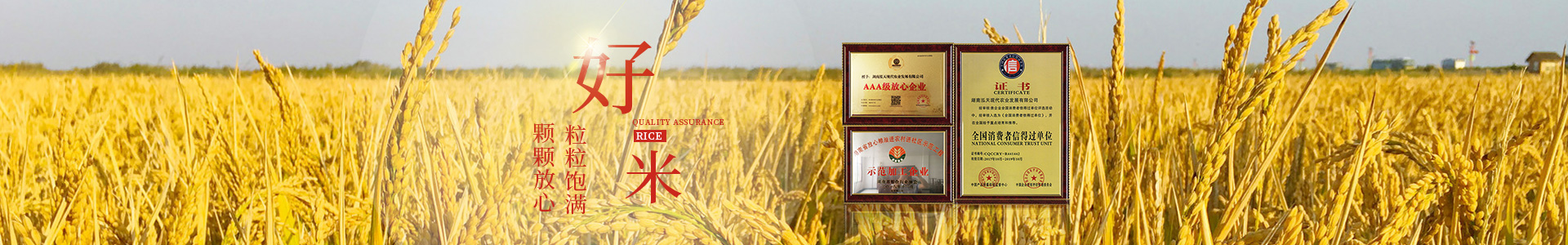 湖南泓天現(xiàn)代農業(yè)發(fā)展有限公司